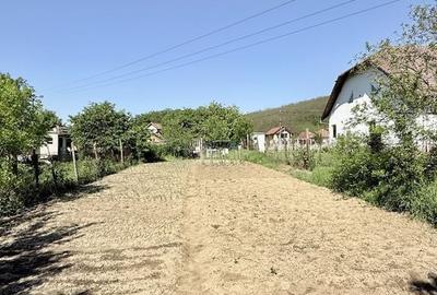 Casă cu 4 camere cu Teren 1668 Mp în Bujoreni - 4