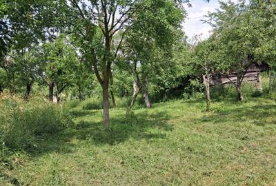 Casă cu 3 camere în Delenii - 8