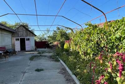 Casă cu Teren 2400 Mp în Corod