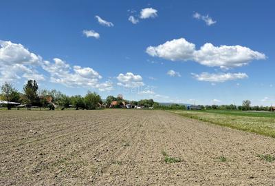 Teren Construcții intravilan de 6772 mp, în Prejmer - 6
