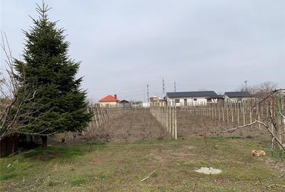 Teren de 928 mp, în Central