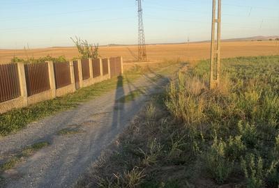 Teren de 4000 mp, în Frecăței