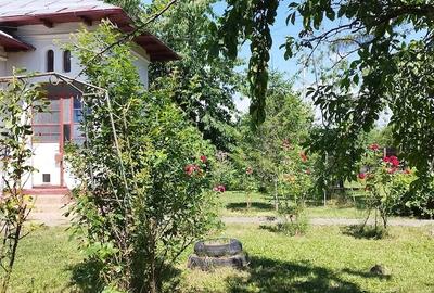 Casă cu 4 camere cu Teren 1400 Mp în Cerșani