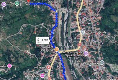 Teren de 5000 mp, în Pietroșița - 3