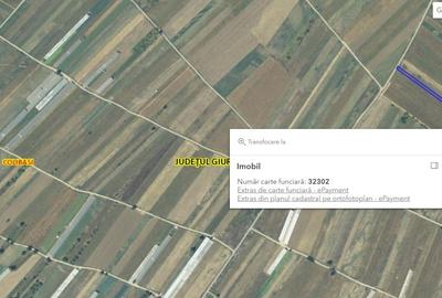 Teren agricol intravilan de 3908 mp, în Colibași - 4