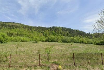 Teren de 13207 mp, în Falcău