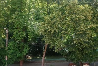 Casă cu 3 camere cu Teren 700 Mp în Central