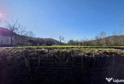 Teren de 4549 mp, în Gura Vitioarei - 5