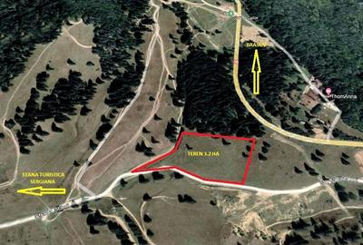 Teren Construcții intravilan de 32000 mp, în Poiana Brașov - 2
