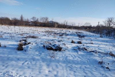 Teren de 6000 mp, în Fălticeni - 3