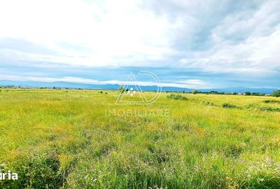 Teren de 10000 mp, în Central