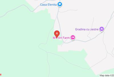 Teren agricol extravilan de 7600 mp, în Cacova Ierii