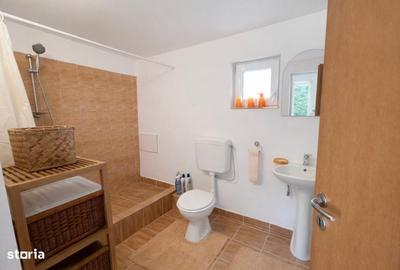 Casă cu 2 camere în Săldăbagiu de Munte - 8