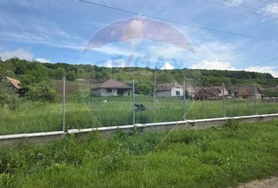 Casă cu Teren 4234 Mp în Deag - 2