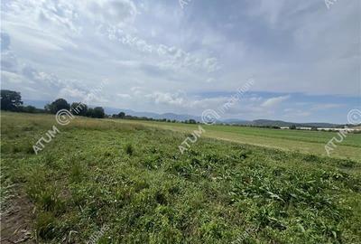 Teren agricol intravilan de 8600 mp, în Cristian - 4
