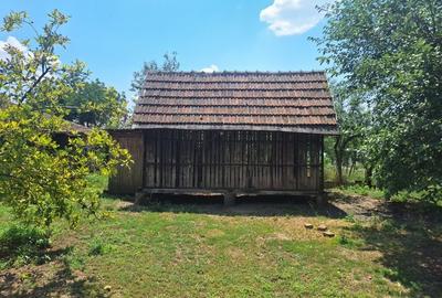 Casă individuală cu 5 camere cu Teren 5095 Mp în Călacea - 11
