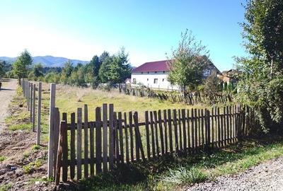 Teren de 5400 mp, în Râșca - 2