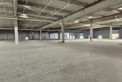 Spațiu industrial, de 9,500 mp, în Periferie - 19