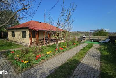 Casă cu 3 camere cu Teren 800 Mp în Boldești