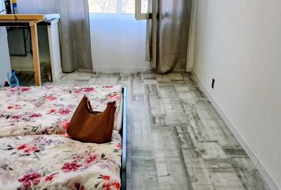 Garsonieră nedecomandată în Șagului