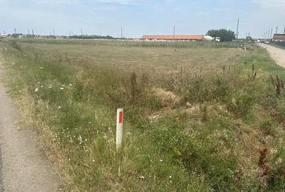 Teren de 2000 mp, în Măldăeni