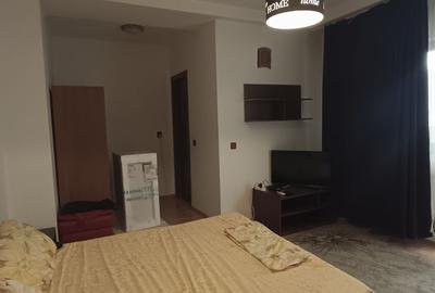 Garsonieră semidecomandată în Craiovița Nouă - 1