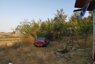 Casă cu 2 camere în Central - 5