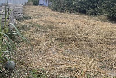 Teren de 4228 mp, în Braniștea