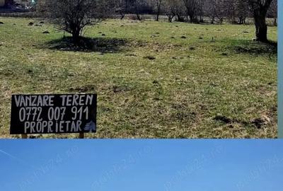 Teren de 440 mp, în Plaiul Foii - 4