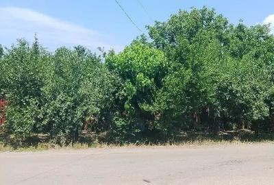 Casă cu 4 camere în Izvoarele