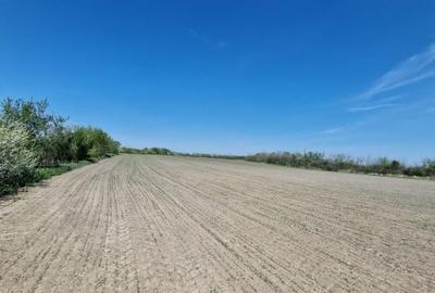 Teren agricol intravilan de 10250 mp, în Periș - 2