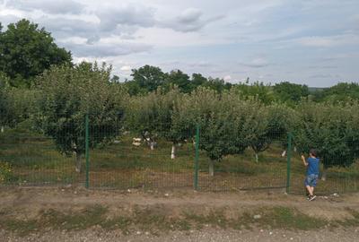Spațiu comercial, în Dorohoi - 4
