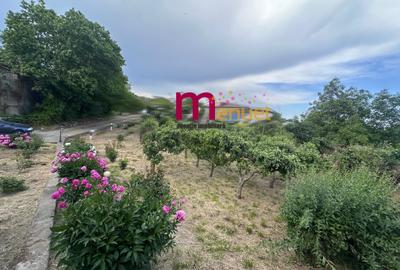Teren agricol intravilan de 2800 mp, în Nord-Vest - 4