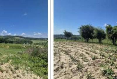 Teren de 1100 mp, în Grajduri - 10