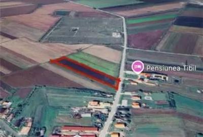 Teren de 10000 mp, în Acâș - 2