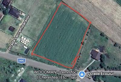 Teren de 6562 mp, în Ciurea