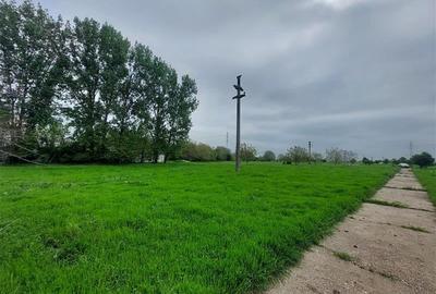 Teren agricol intravilan de 80000 mp, în Grădiște - 6