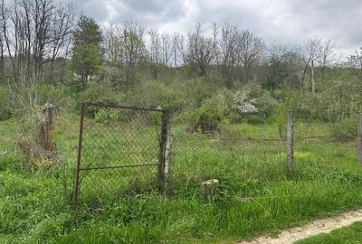 Casă individuală cu 16 camere cu Teren 5000 Mp în Malu Vârtop - 9