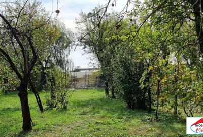 Teren Construcții intravilan de 5700 mp, în Decebal - 10