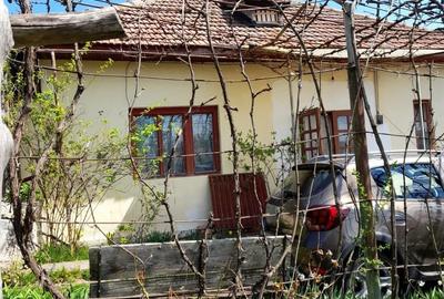Teren de 46 mp, în Brănești - 7