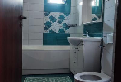 Apartament cu 2 camere semidecomandat în Dosu Bricii - 2