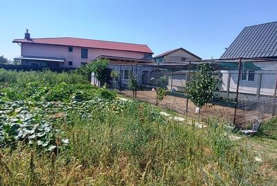 Teren Construcții intravilan de 600 mp, în Cernica - 8