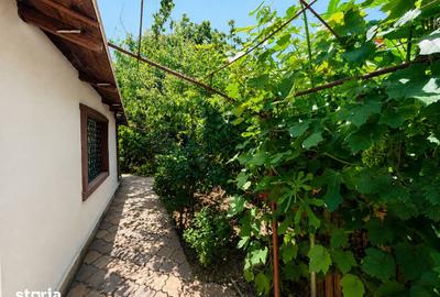 Casă cu 3 camere cu Teren 275 Mp în Giurgiului