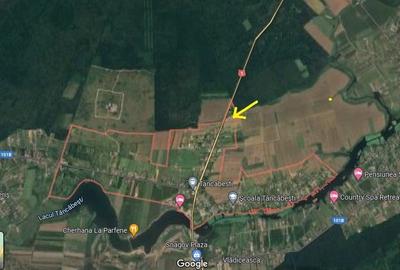 Teren Construcții intravilan de 5000 mp, în Tâncăbești - 3