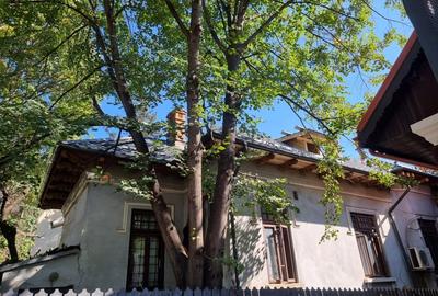 Casă individuală cu 5 camere cu Teren 236 Mp în Copou - 2