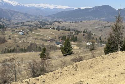 Teren de 2000 mp, în Ivăneasa - 2