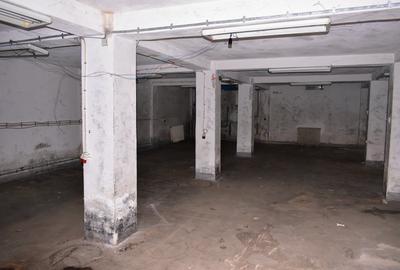 Spațiu comercial, de 740 mp, în Craiovei - 19