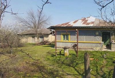 Teren de 7700 mp, în Letca Veche
