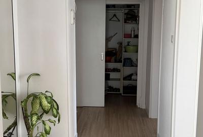 Apartament cu 3 camere decomandat în Calea Călărașilor