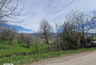 Teren de 2111 mp, în Ghioșești - 6